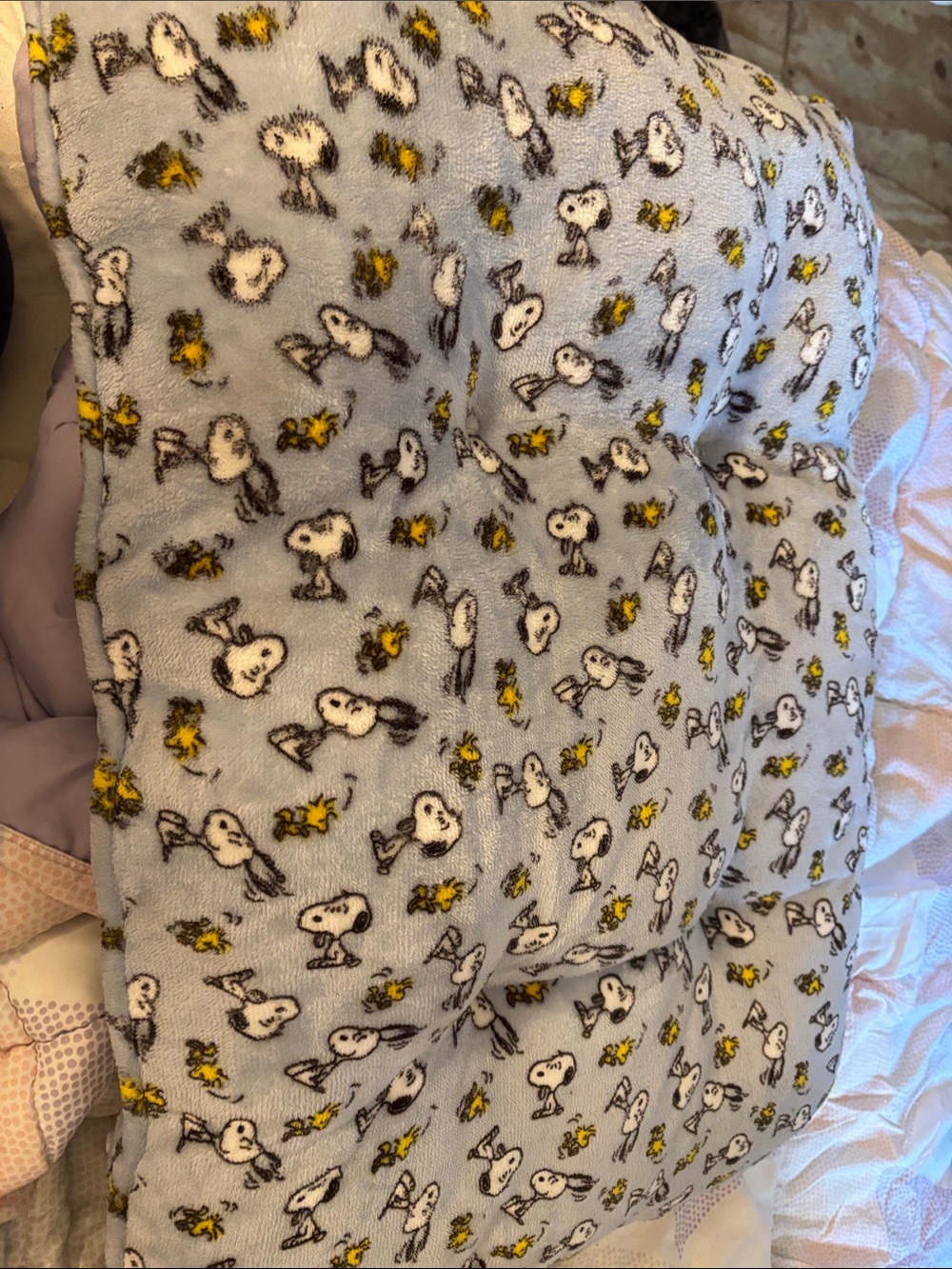 Peanuts Snoopy dog bed/pillow